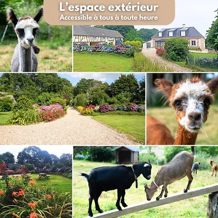 Domaine Des Falaises * Villainville