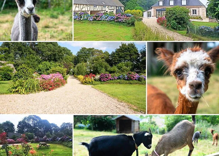 Domaine Des Falaises * Villainville